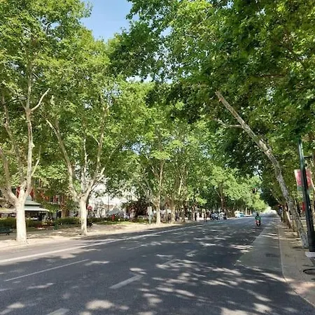 Sao Jose In Lisboa