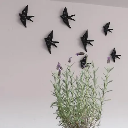 Διαμέρισμα Sao Jose In *
